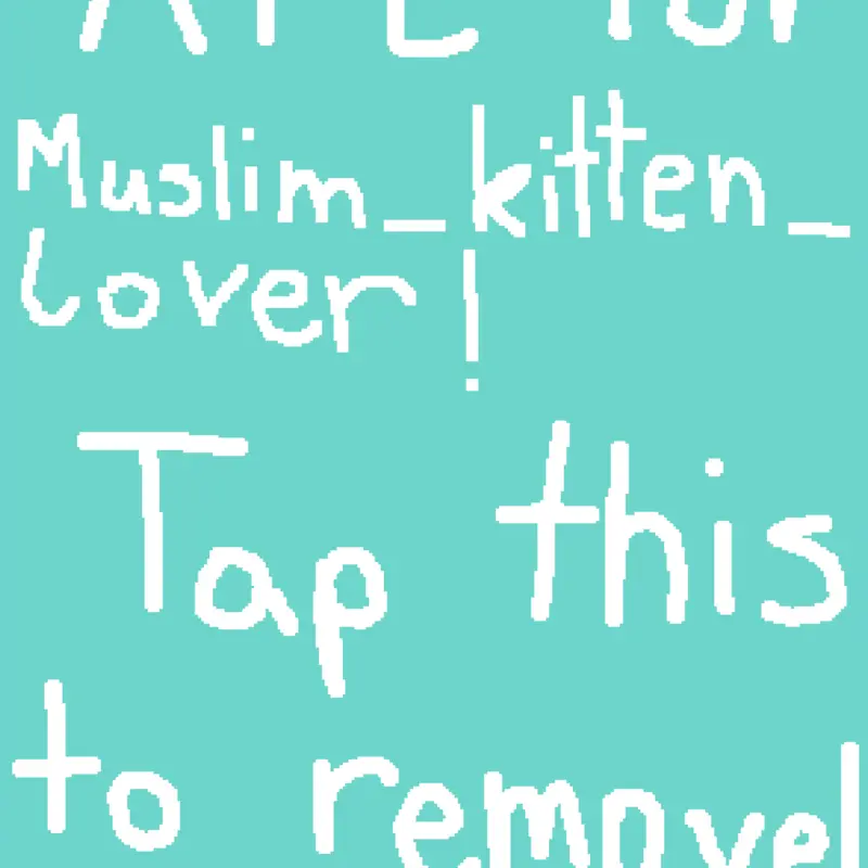 Game by @MuslimCatLover