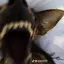pupshello avatar