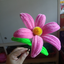 flower_3 avatar