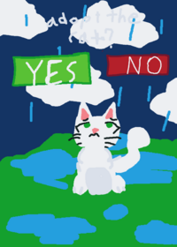 Take care of cat