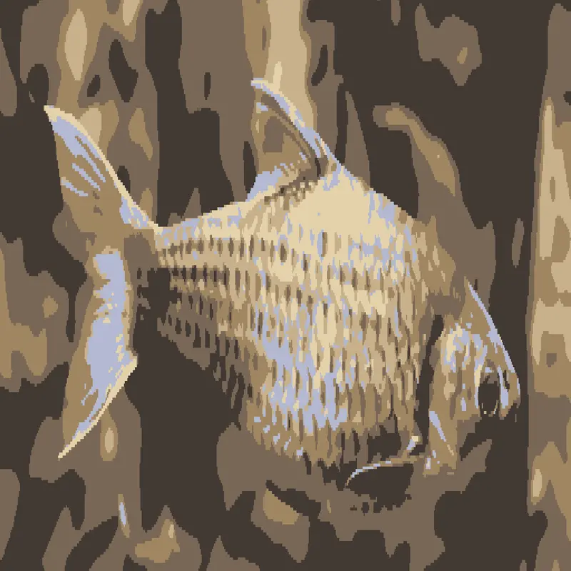 I’m Fish by @GatoroGames