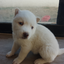 yuounmu avatar