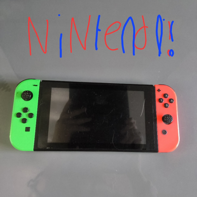 @Nintendo_CastleLover4757