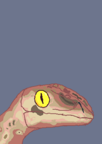 Beer raptor