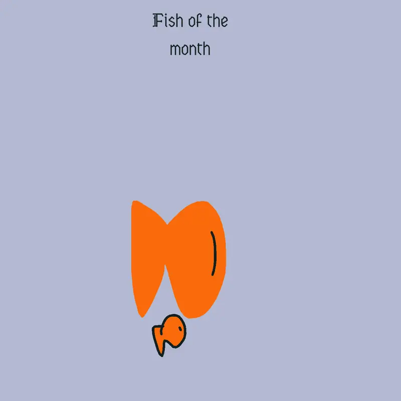 Fish of the month by @m3qu0tE_fAn