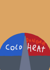 The temperature controller