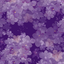 Violet_offical avatar