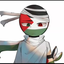 PalestineOfficial avatar