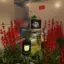 flowerbasket avatar