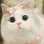 mini_mochi avatar