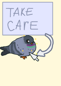 Pigeon care