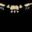 Lukekas30 avatar