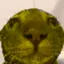 claris avatar