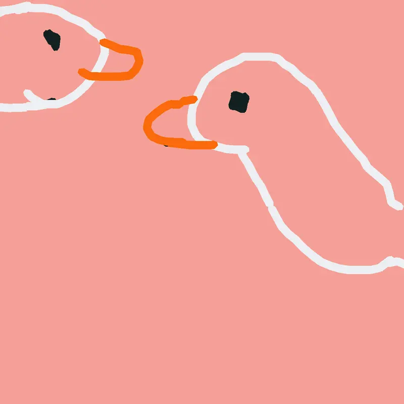 My ducks no my nostalgia yes first birds by @ChristopherPerez