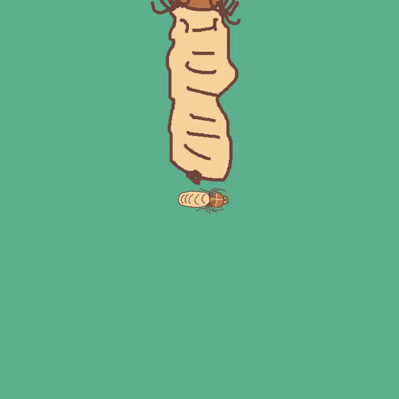 termite geam :))) by @hiilllol