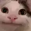 Badgamemaker avatar