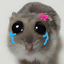 N1N4_B4CK avatar