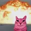pinky_cat546 avatar