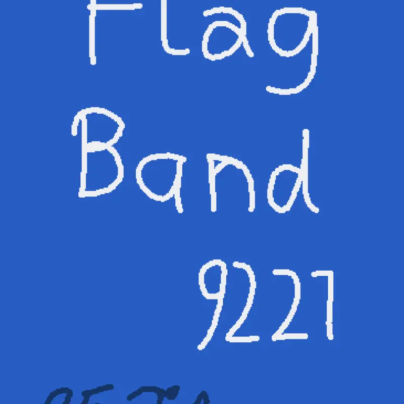 Flag Band Season 9221 by @filmroll