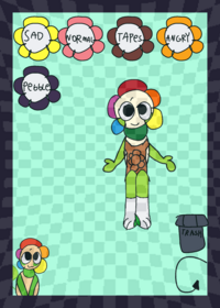 Dandy ragdoll