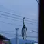 Long_neck_giant avatar