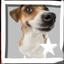 tiagoeidan avatar
