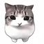 EdgarBS avatar