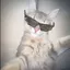 c00lthec00lestguyever avatar