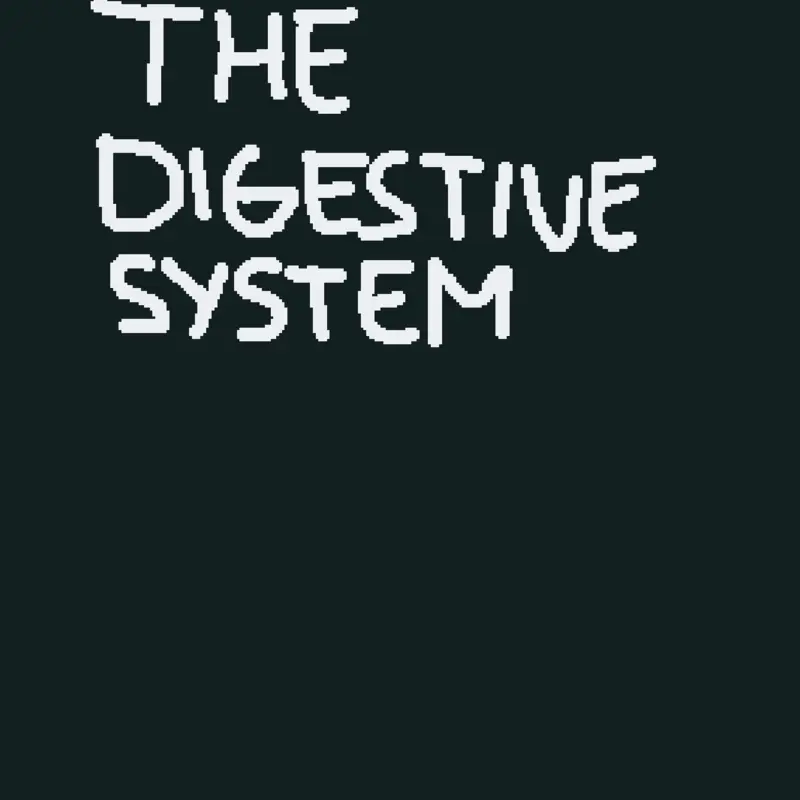 The digestive system by @Keanne