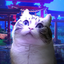 kotbbb280 avatar