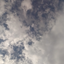 hasfi avatar