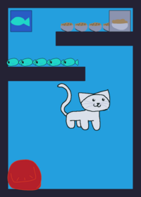 Take Care a cat!