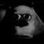 sasa60 avatar