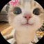 simonethecatlover avatar