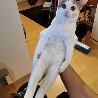@luke3678