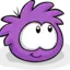 Purple_Puffles avatar