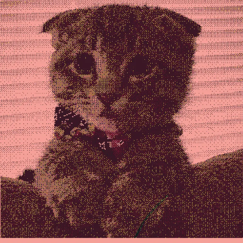 Game by @strwberi_thecat