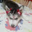 gianny avatar