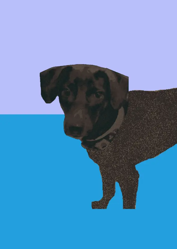 Montagem cozes abece by @Kanke_7_the_dog
