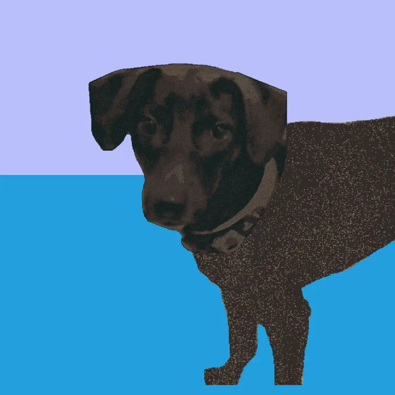 Montagem cozes abece by @Kanke_7_the_dog