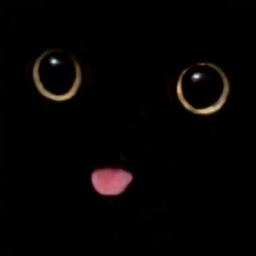 @boredcat_234