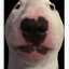 victorfen avatar