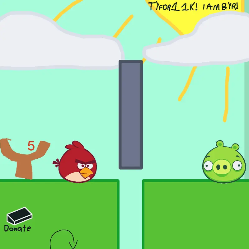 ANGRY BIRDS by @lukelovescastle