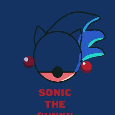 @sonicthesunky