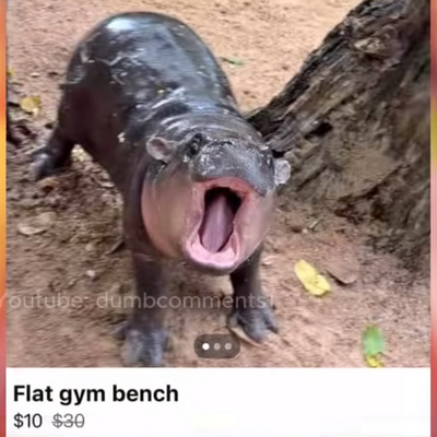 @flat_gym_bench