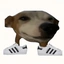 mr-milo avatar