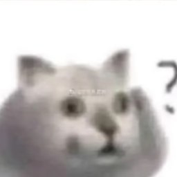 @cat_studios_OFFICIAL