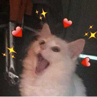 @Pink_Meow