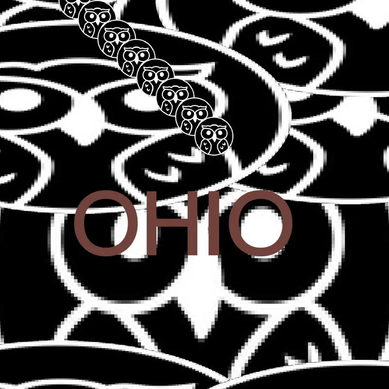 OJAIO OHIO by @DanielLagos