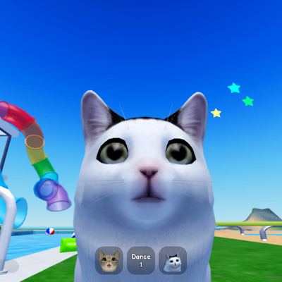 @lost-kitten